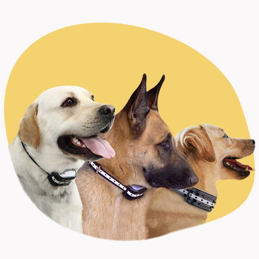 Optimaalinen suoja ja mukavuus lemmikkisi tassuille