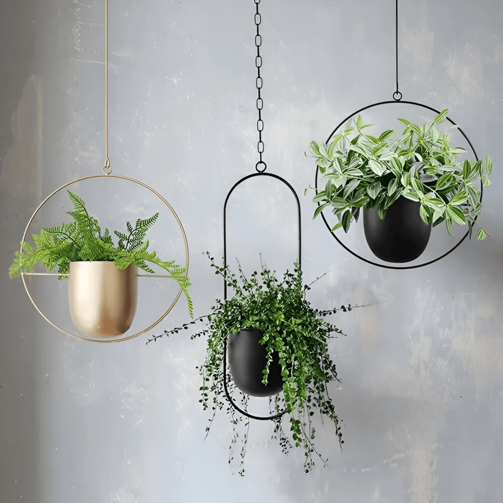 Caelessa - Tyylikäs ja elegantti seinäruukku moderniin sisustukseen
