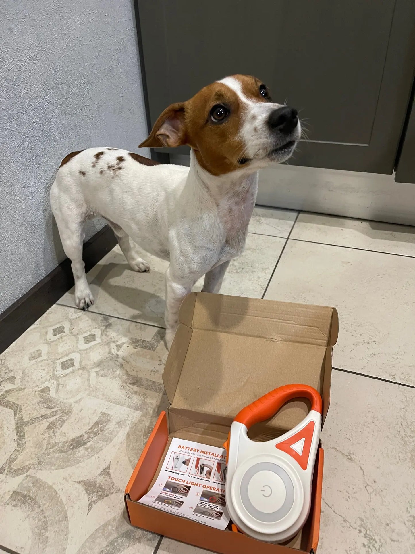 Täydellinen koiran turvallisuus: LED-valaistus ja 5 m kantama yökävelyyn