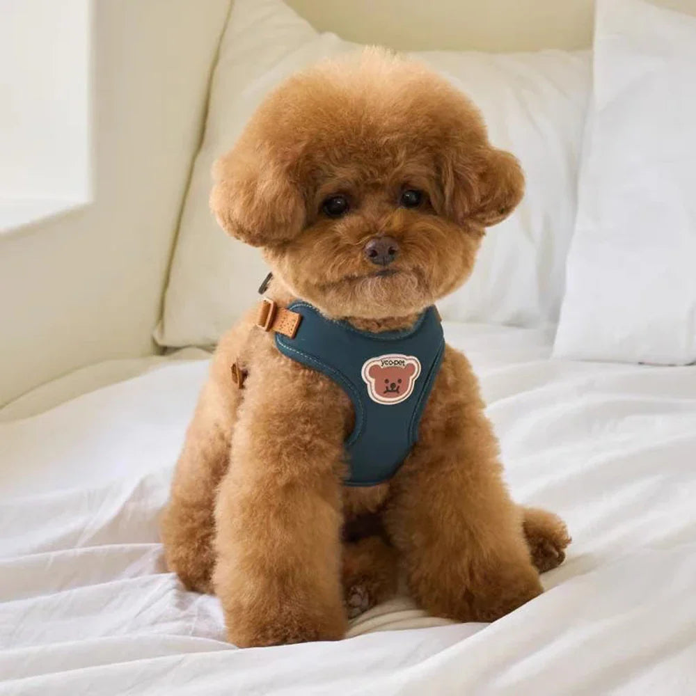 Suloinen ja säädettävä valjas ja hihna mukavuuteen ja turvallisuuteen