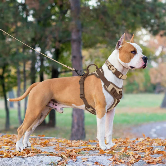 Luxe säädettävä koiran valjaat pienille ja suurille roduille