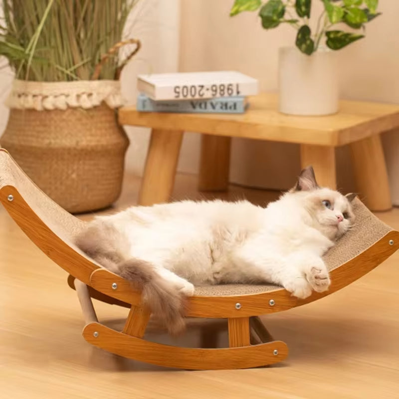 Kynsillään varustettu kissa