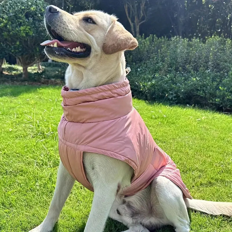 Optimaalinen jalkasuoja lemmikeille parhaan mukavuuden ja turvallisuuden takaamiseksi