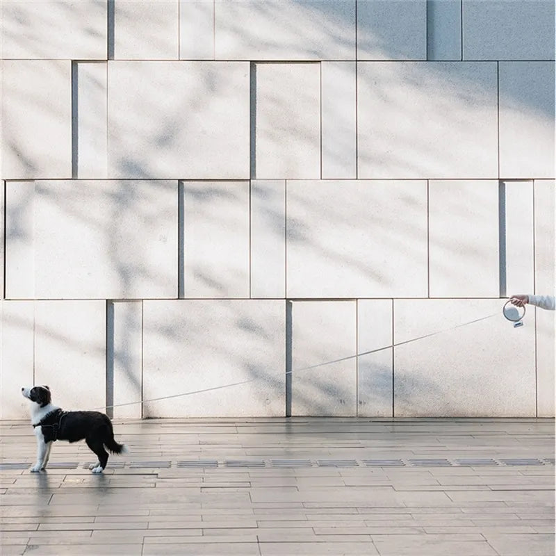 Säädettävä koiran talutin optimaaliseen hallintaan ja mukavuuteen