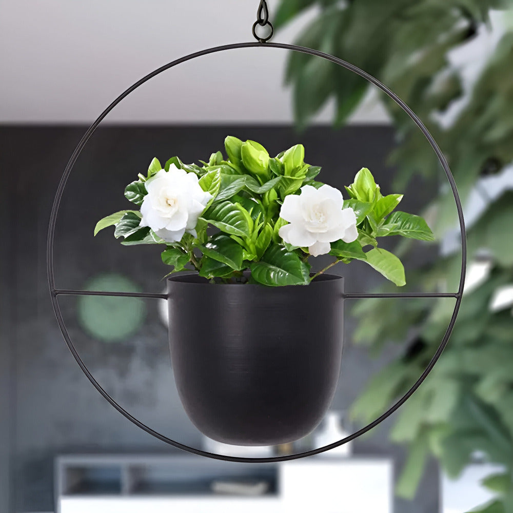 Caelessa - Tyylikäs ja elegantti seinäruukku moderniin sisustukseen