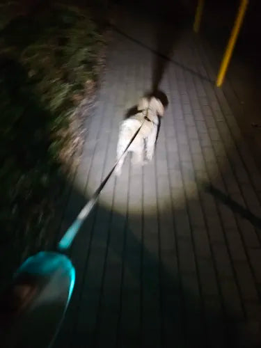 Täydellinen koiran turvallisuus: LED-valaistus ja 5 m kantama yökävelyyn