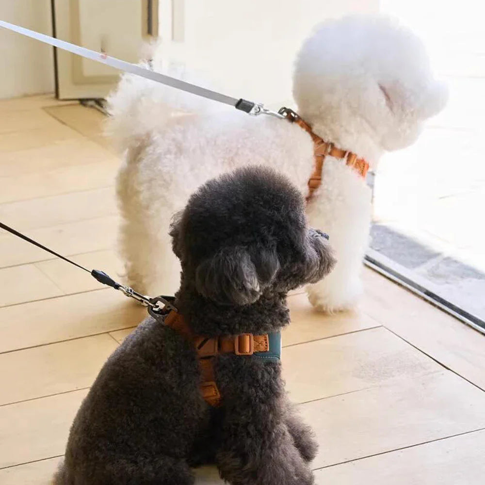 Suloinen ja säädettävä valjas ja hihna mukavuuteen ja turvallisuuteen