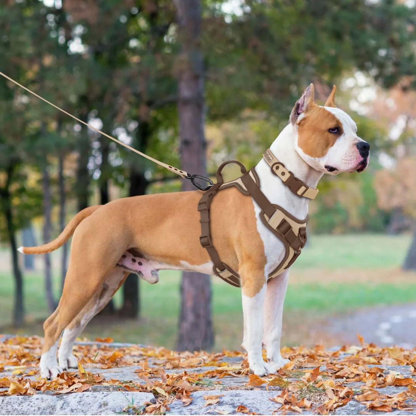 Luxe säädettävä koiran valjaat pienille ja suurille roduille