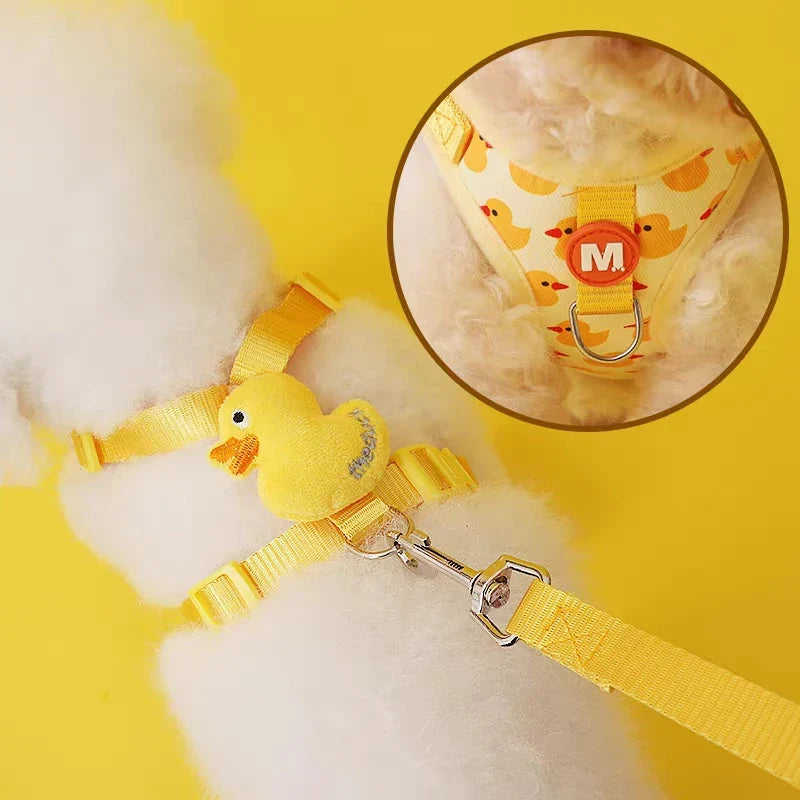 Söpö sarjakuvamainen valjas- ja talutushihnasetti pennuille