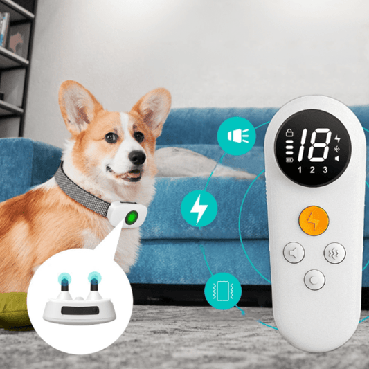 Täydellinen haukunestolaite kodin rauhaan