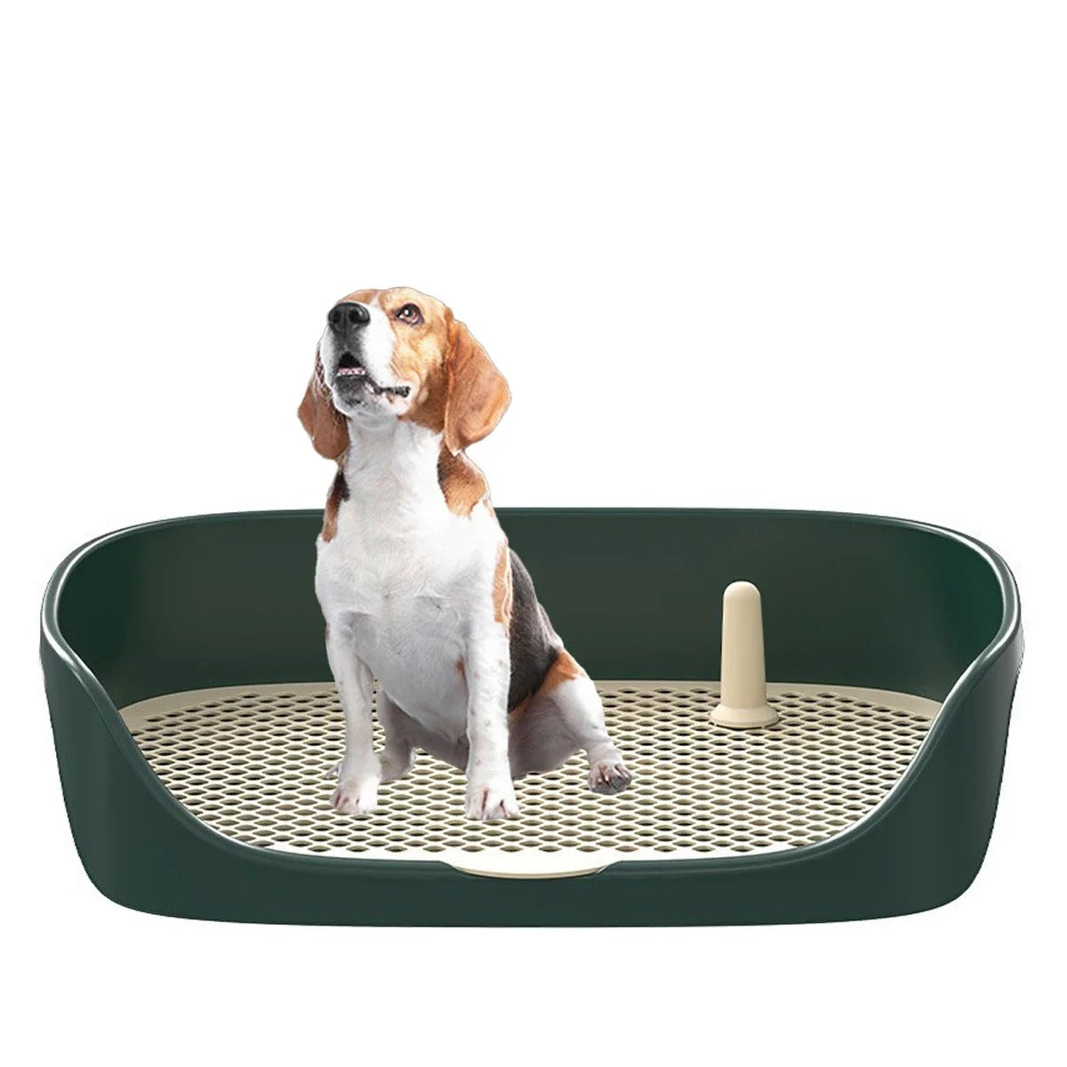 Opeta koirasi käyttämään pottaa